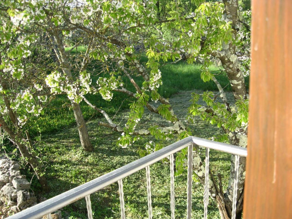 Antonia & Arian Apartment Roč Exterior foto